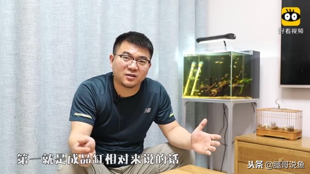 大缸什么过滤效果最好,什么过滤方式小缸效果最佳