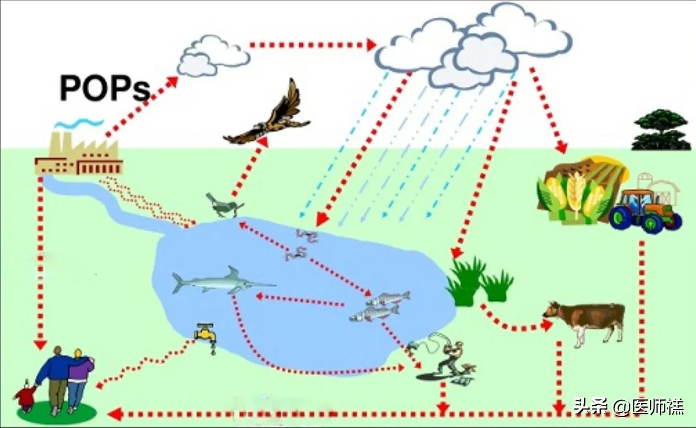 食物中的农药残留有哪些,哪些东西是农药残留的食物