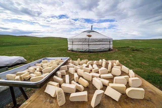 蒙古族乳糖耐受,蒙古人为啥还会乳糖不耐受