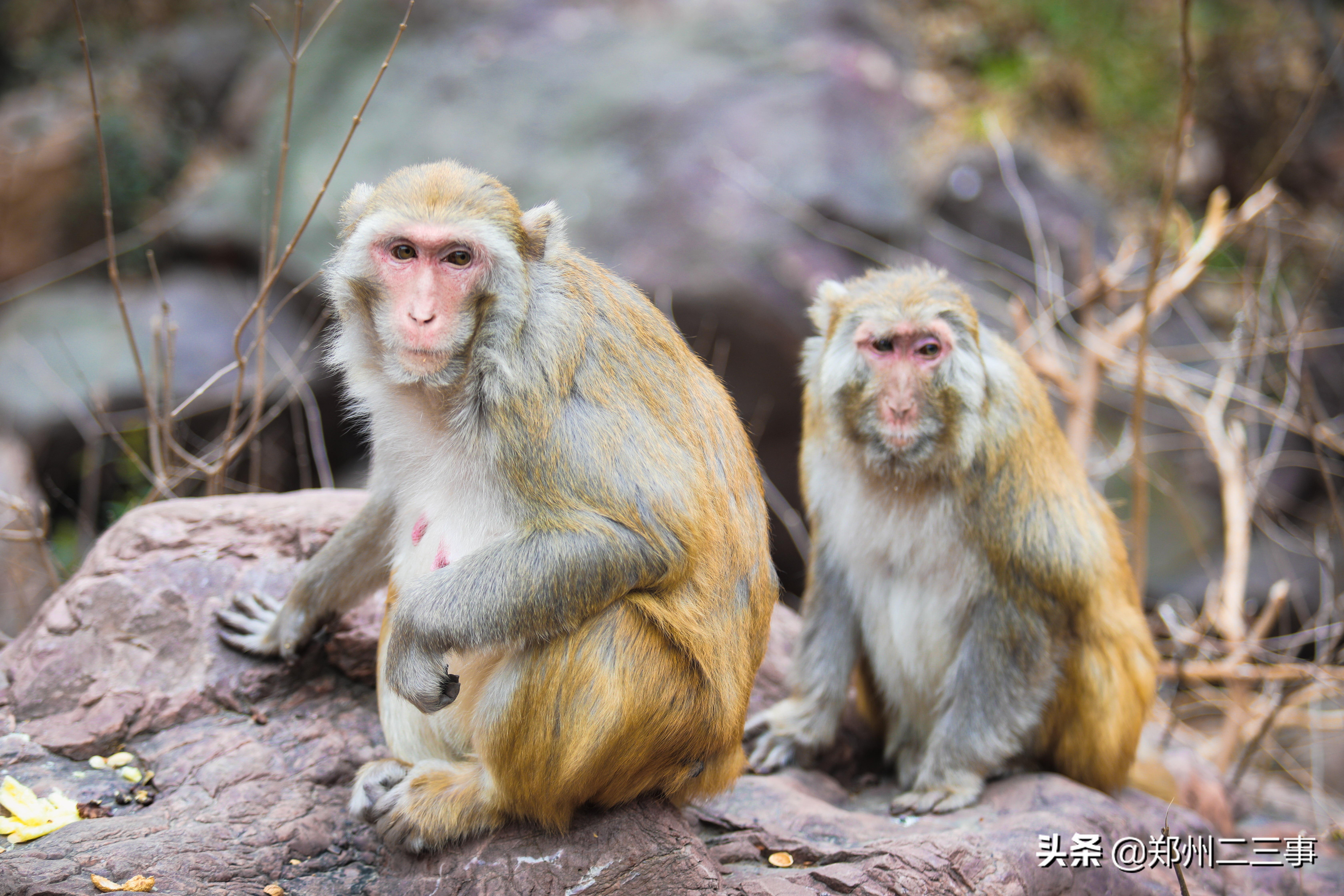 郑州惠济区免费遛娃好去处植物园,郑州遛娃踏青好去处