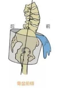 肚子胖女生怎么瘦,肚子大怎么瘦腰最快方法