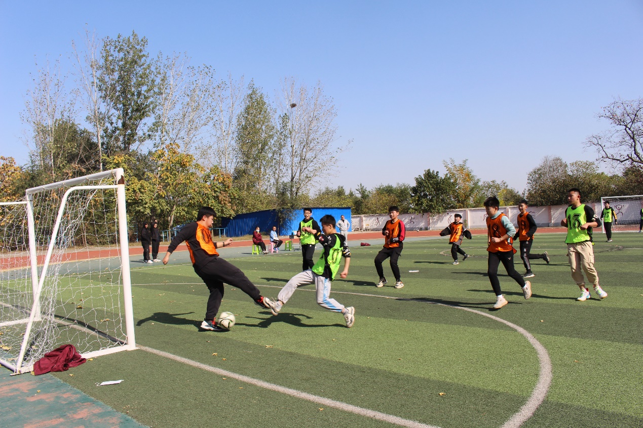 绿茵点亮梦想,绿茵点亮梦想活力绽放校园