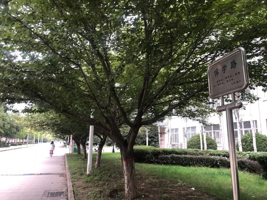 这就是渭南的网红圣地,这就是陕西