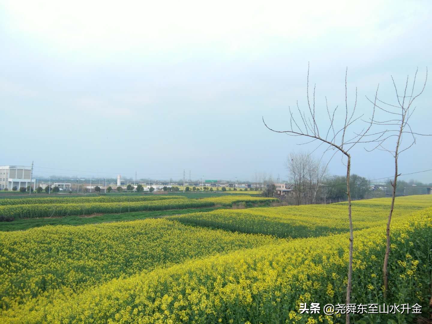 张溪镇是哪里,张溪镇有几个乡村