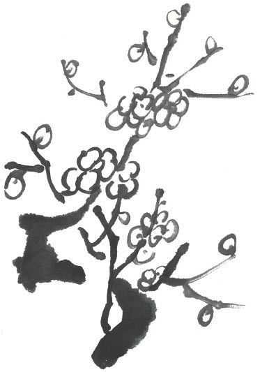 国画梅花上的雪画法步骤教程视频,零基础国画入门画梅花教程