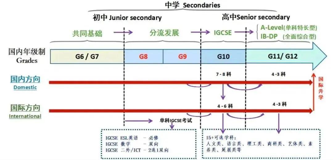 一文带你分清“协和系”大家族,孩子到底适合上哪所“协和”?