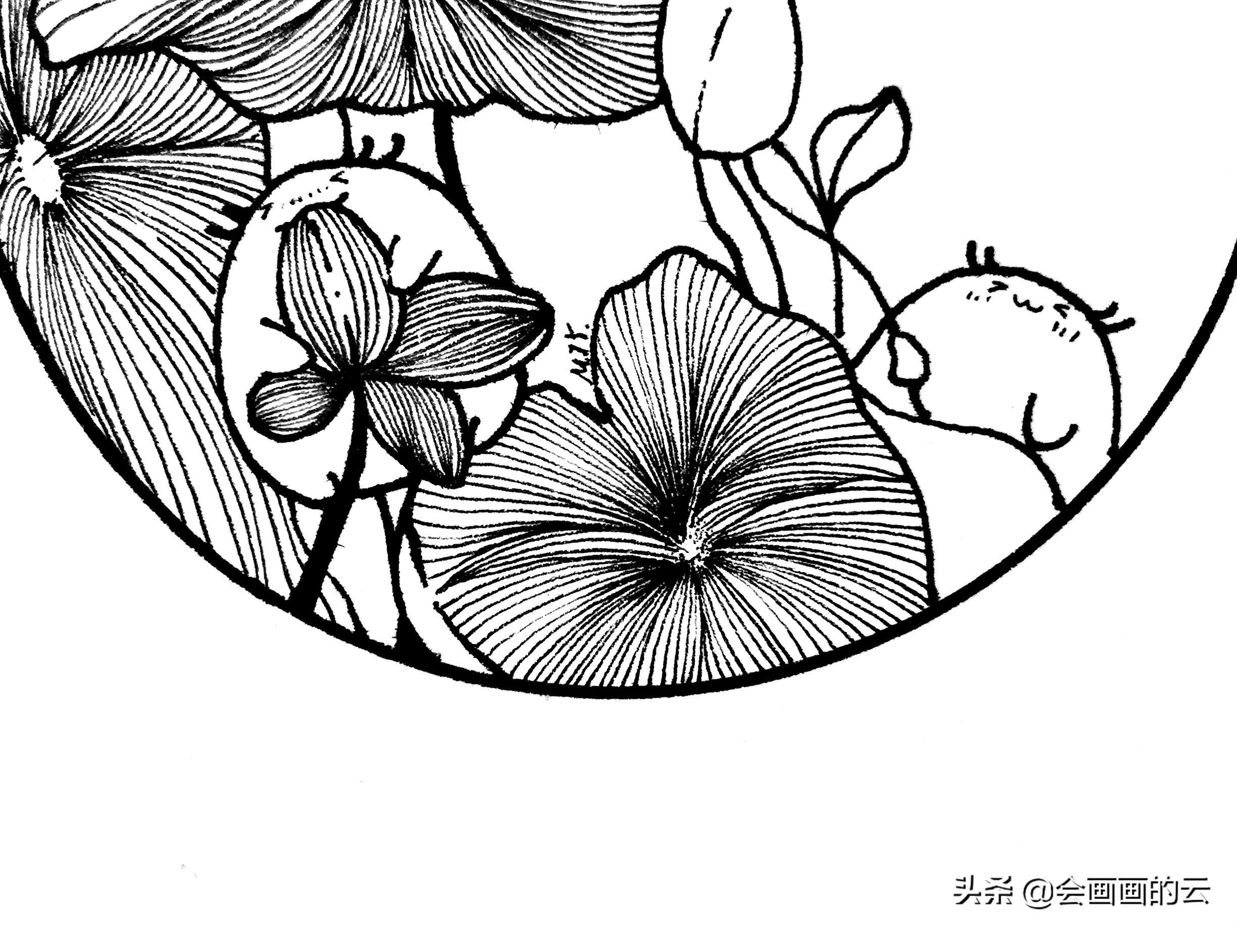 二次元简笔画教程新手入门必备,画画新手必练300图简笔画