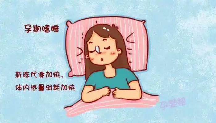 孕期遇到的困难解决方案,孕期经历了哪些波折