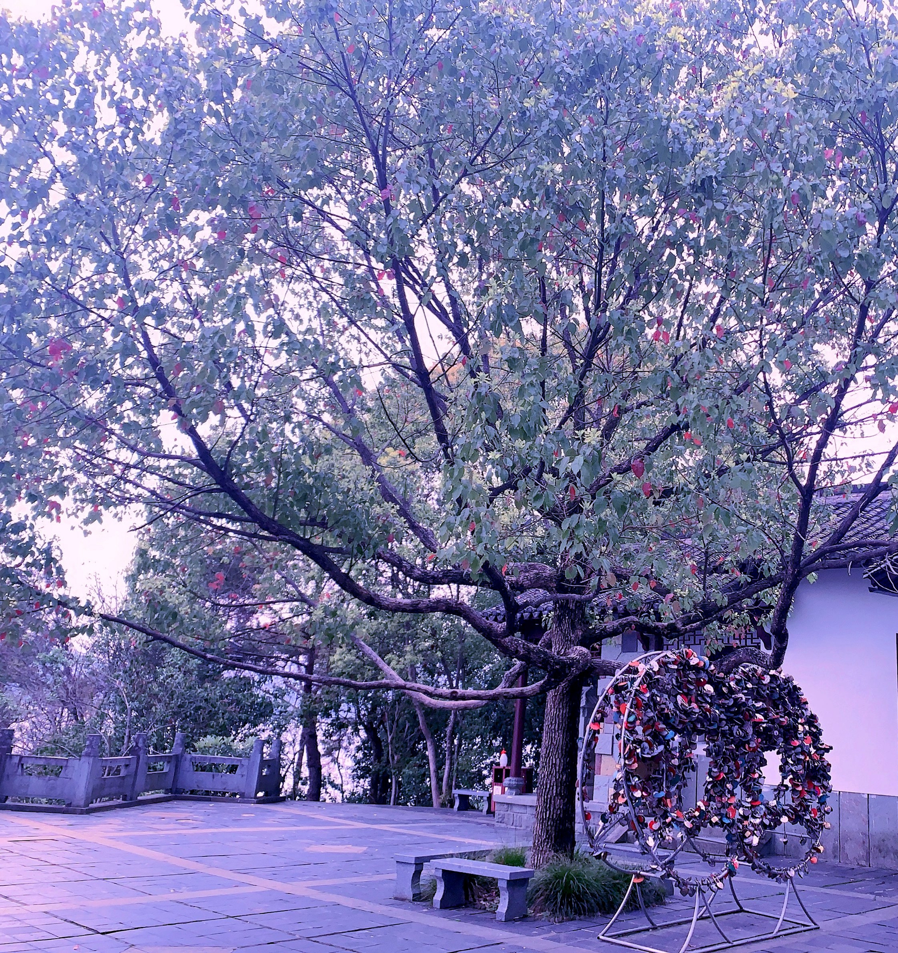 浙江最美丽风景区,2022浙江免费景区一览表