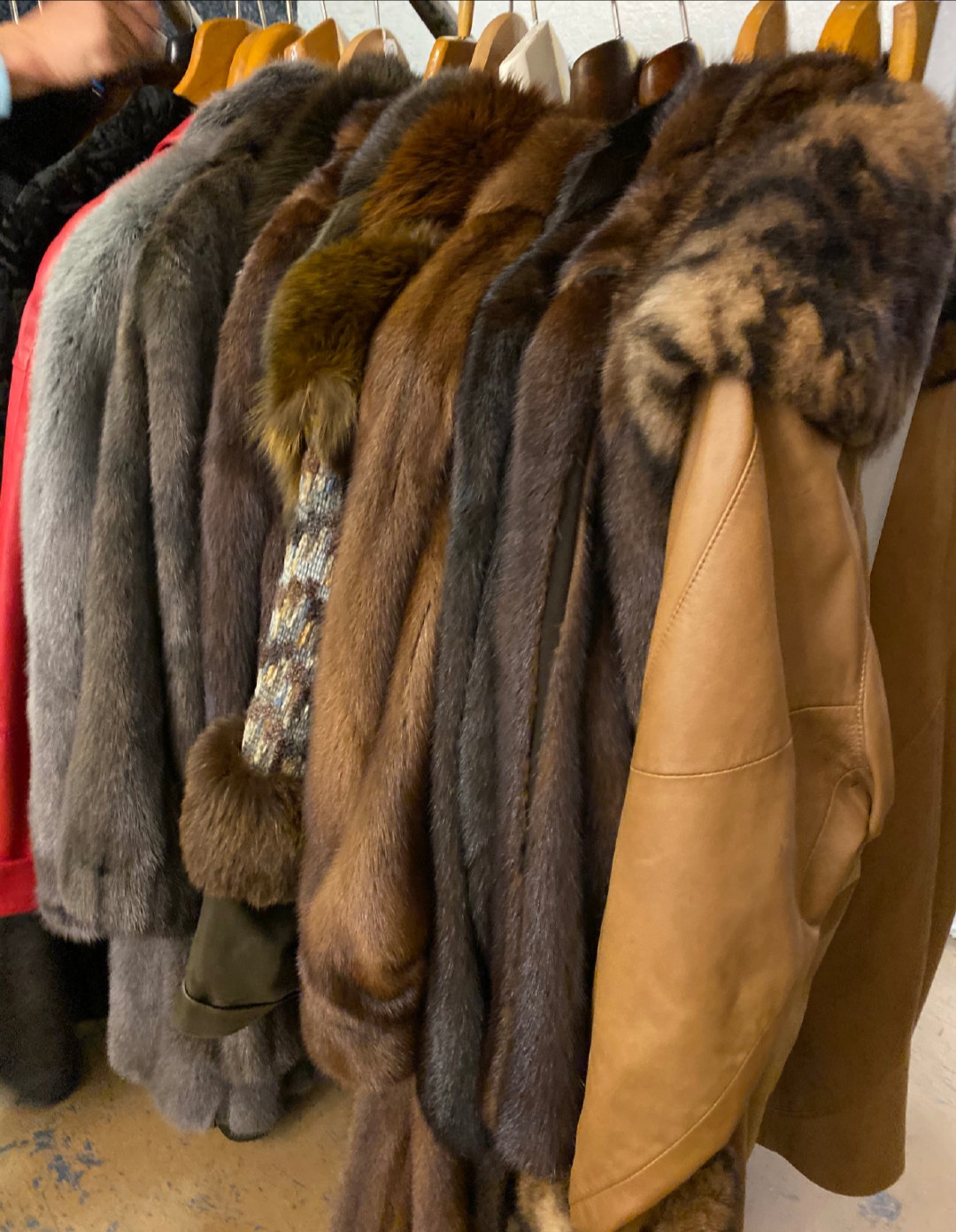 墨墨春晓带你看德国:洗衣机也能进拍卖行