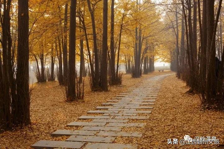 天凉了，告别秋燥，温泉养生约起来吧！