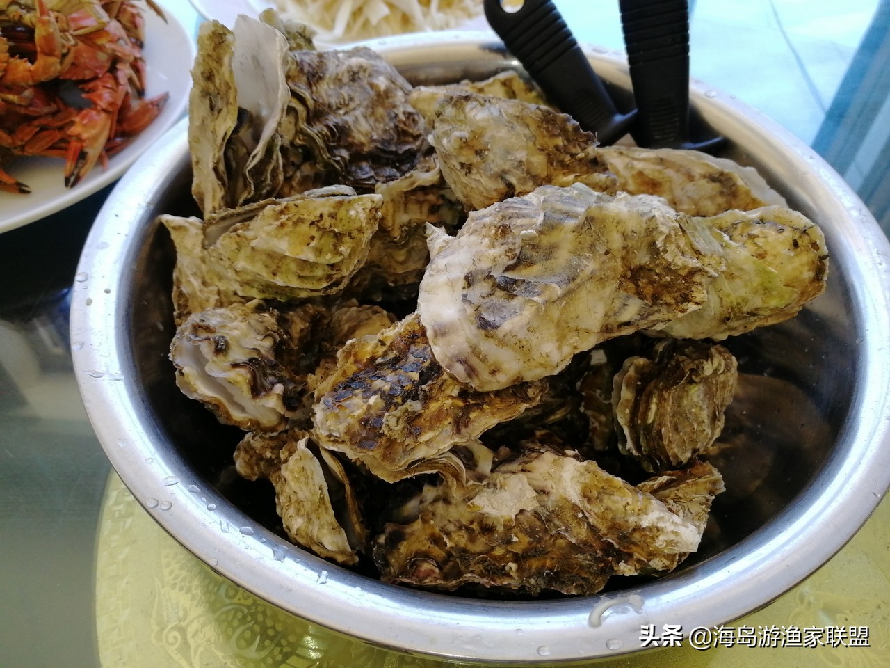 夏天哪凉快，来大连这个小岛，感受真正的夏季如春