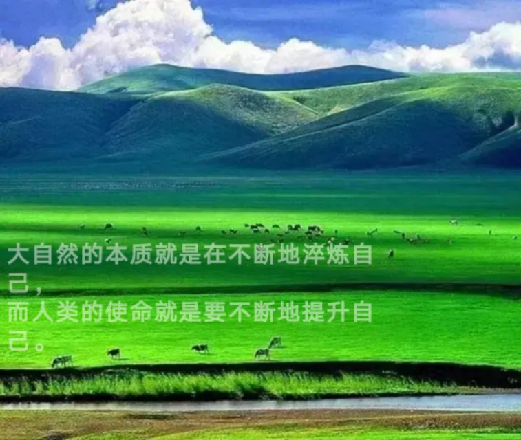 为什么要聚焦高考,全民聚焦2018全国高考