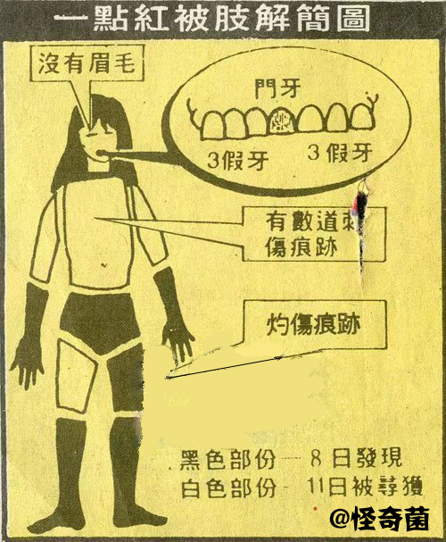 分尸案马来西亚,马来西亚女歌手被杀事件过程