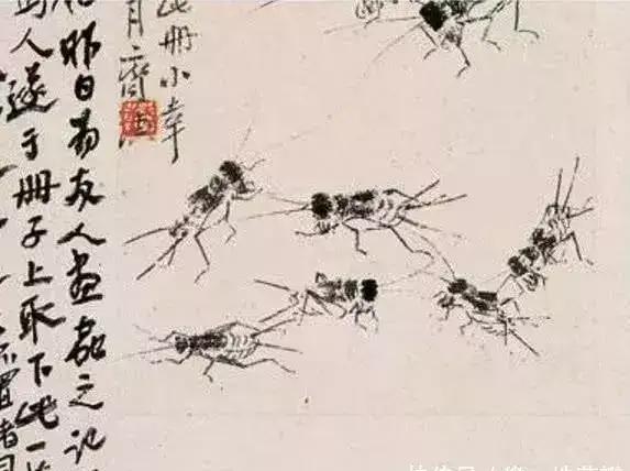 一条虫王的自述我这一生