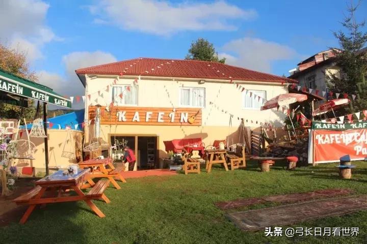 也许是我爸妈心大，才遗传了我这么心大