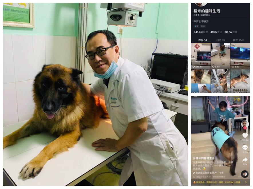 瑞派宠物医院告诉你最牛医院的正确打开方式