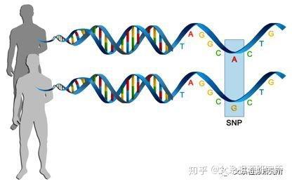 乱补雌激素引发乳腺癌,补雌激素能导致乳腺癌吗