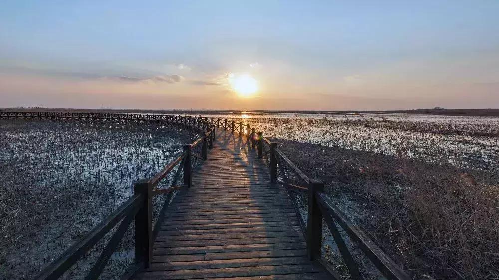 上海地铁最新规划崇明线,上海崇明线预计开通