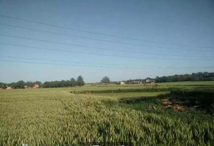 从名门闺秀到普通家庭主妇---旧孟津陈家大小姐的传奇人生