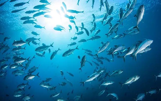 “渔民村”的渔民不打鱼的时候靠什么赚钱?看看你就知道了