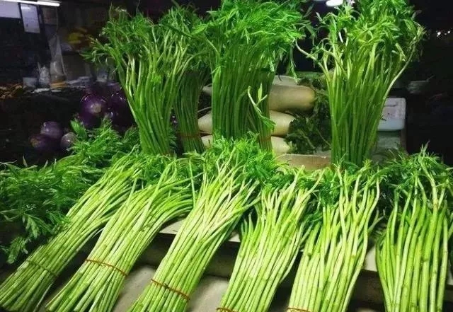 鄱阳湖腊肉炒藜蒿,炒腊肉的野菜大全