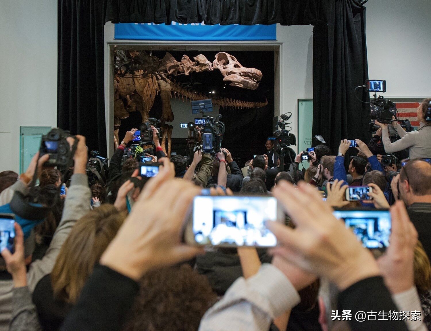 巴塔哥泰坦龙完整化石,巴塔哥泰坦龙进化史