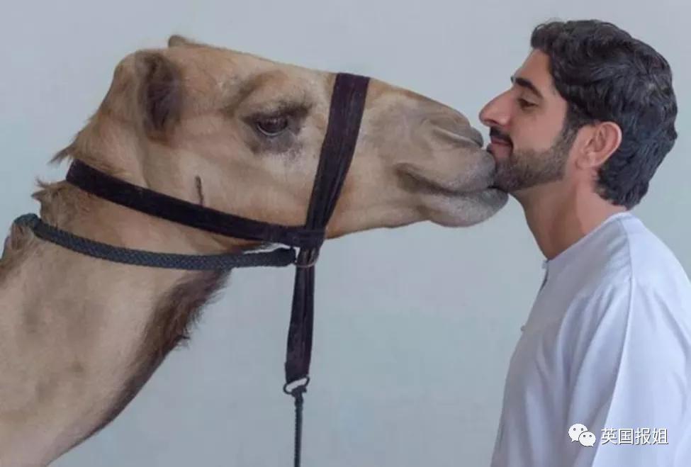 世界最帅王子视频,19岁全球最帅王子近况