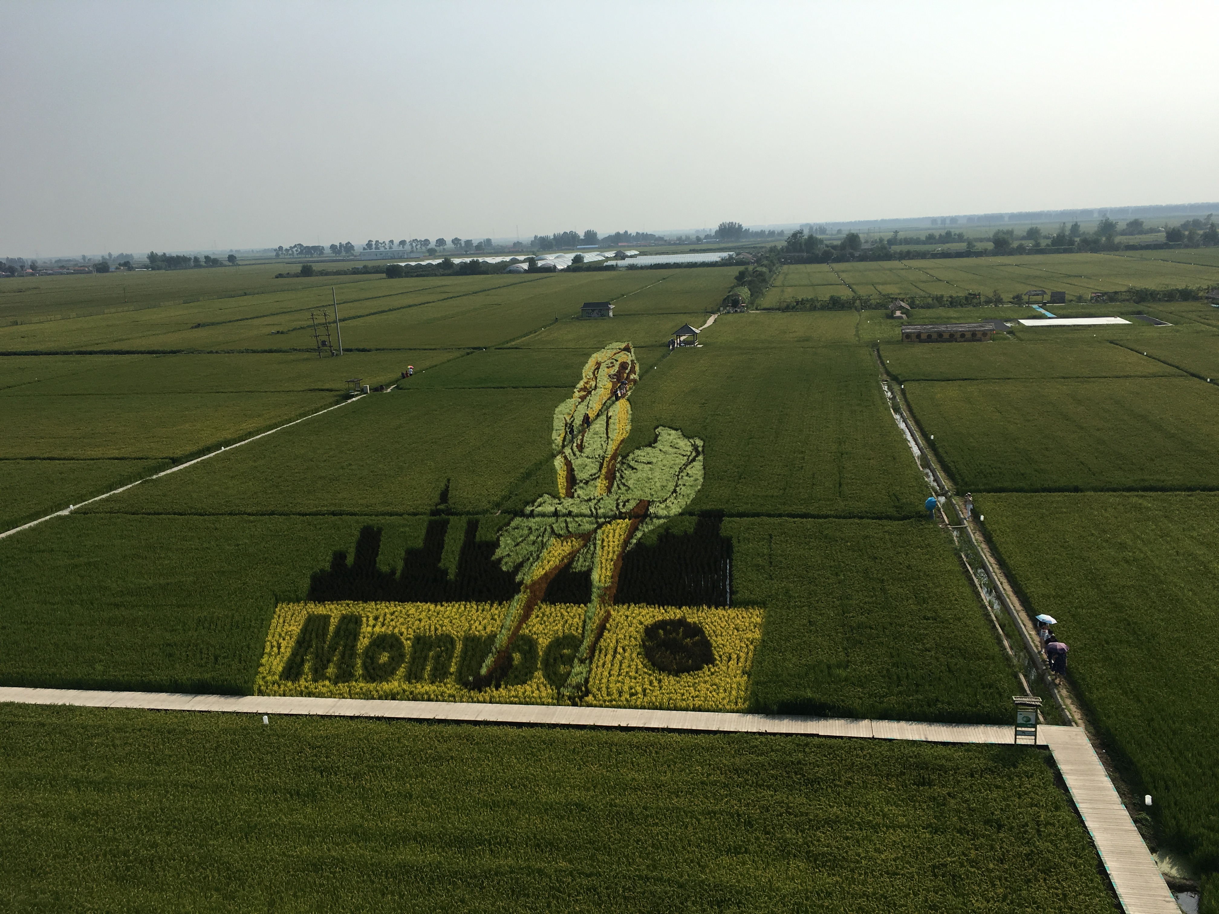 沈阳稻梦空间景区旅游攻略,沈北稻梦空间旅游攻略