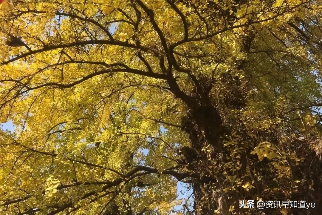 上海地铁5号线沿途景点,上海地铁8号线沿线景点攻略