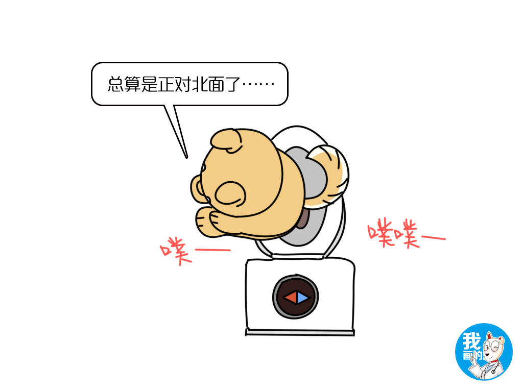 狗狗憋尿时间最好不超过多久,狗狗一直憋尿有危害吗