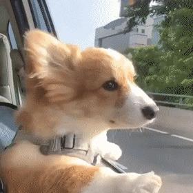 车载空调制冷效果差怎么处理,车载空调制冷怎么操作