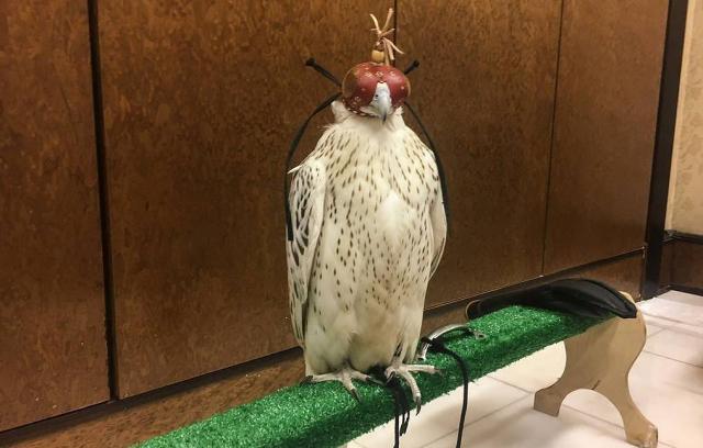 各国领导收到的礼物,盘点各国领导人收到的镂空礼物