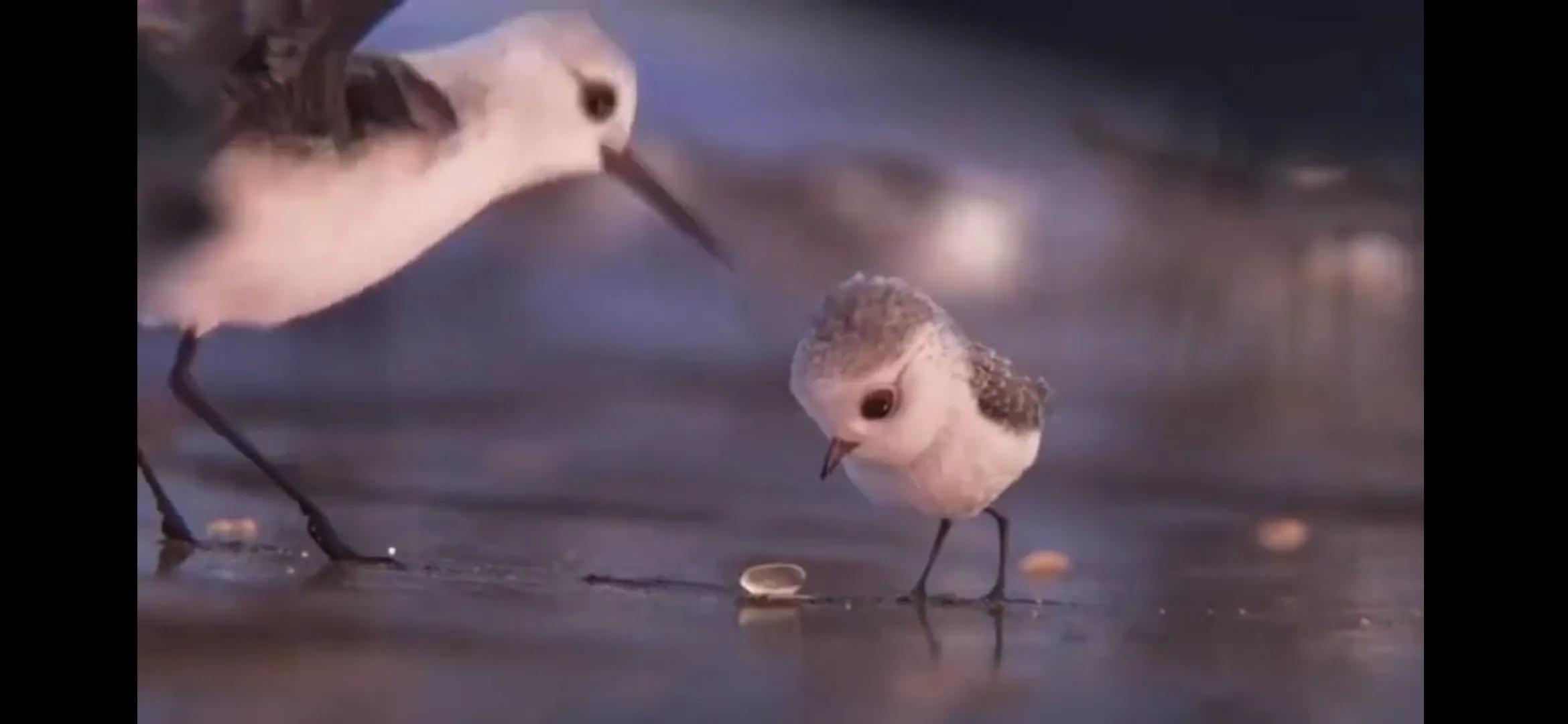 教育孩子成长的一些心得,教育孩子的正确方法和感悟