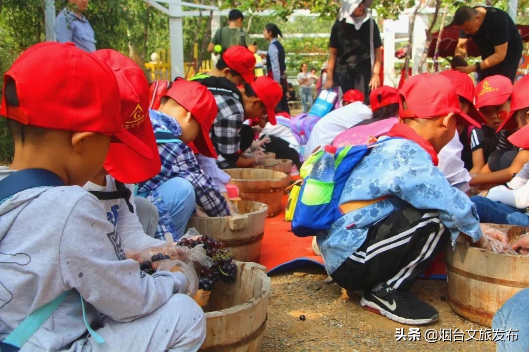 张裕卡斯特酒庄免费参观,烟台张裕卡斯特酒庄攻略