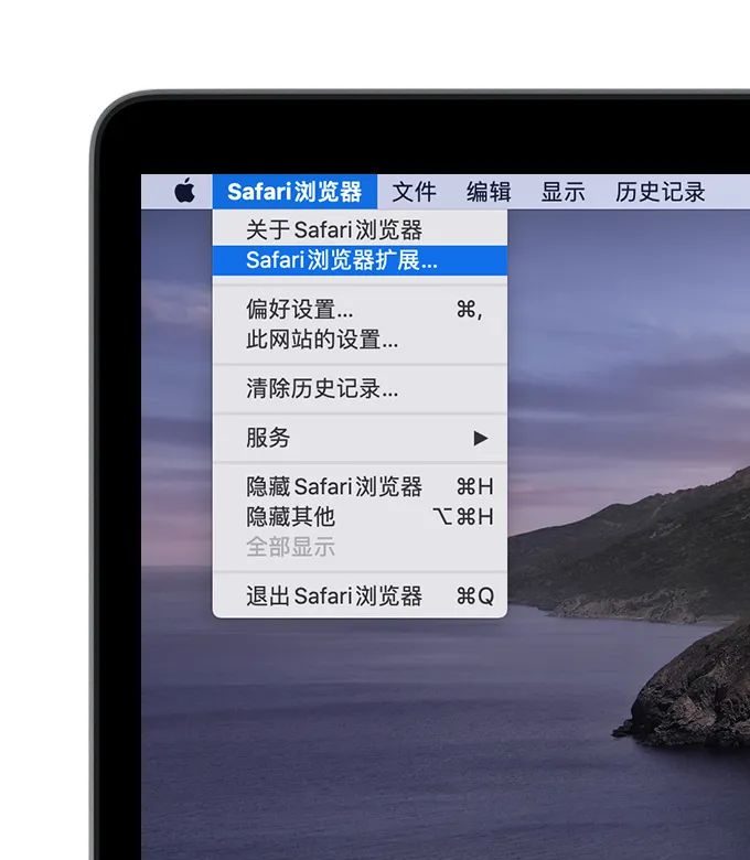 苹果手机可以卸载safari浏览器吗,safari浏览器chrome开启方法