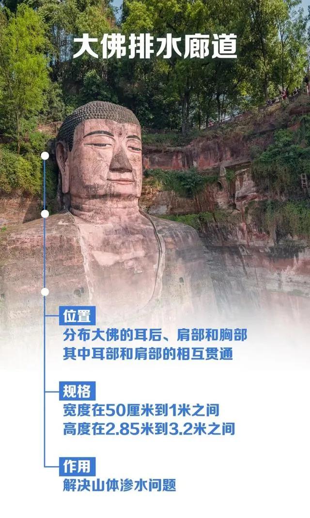 乐山大佛脚被水淹没奇观出现,乐山大佛再次被水淹没图片