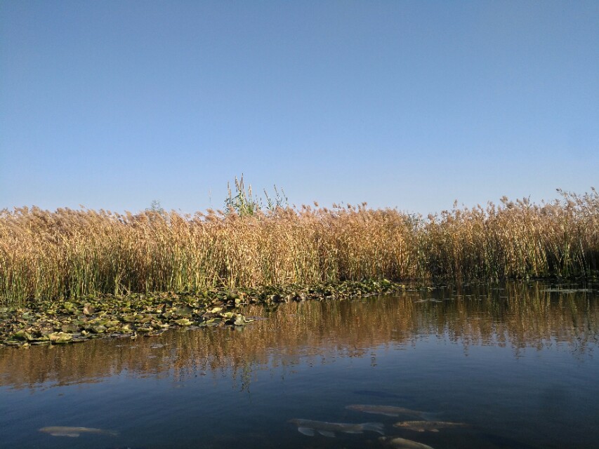 由发热来谈谈中西医的道