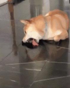 多少人初、高中的爱恋是这样被打碎的