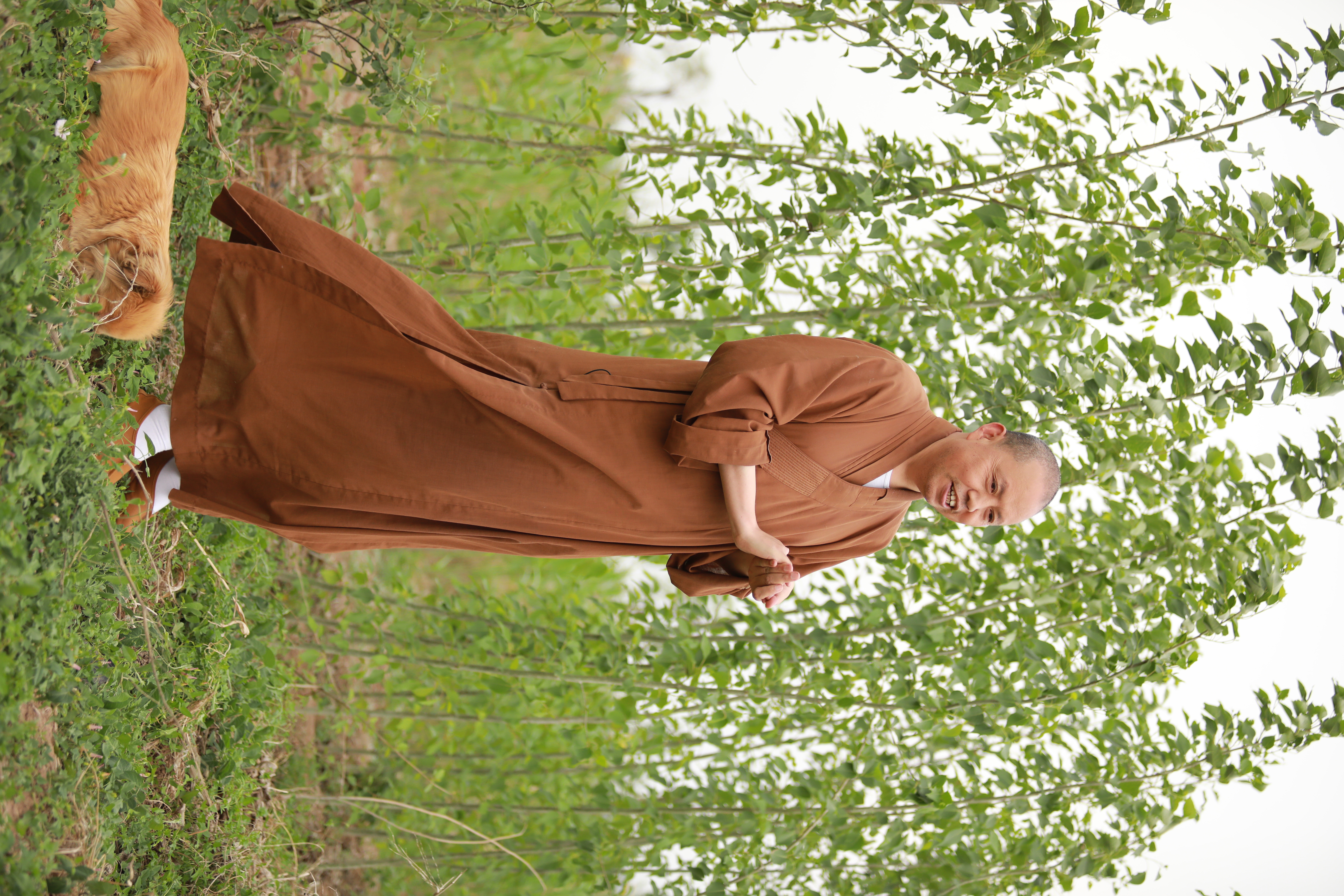 绿了芭蕉红了樱桃歌曲,绿了芭蕉红了樱桃舞蹈