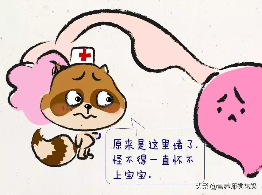 女性的生育系统是怎么做的,女性生育系统解析