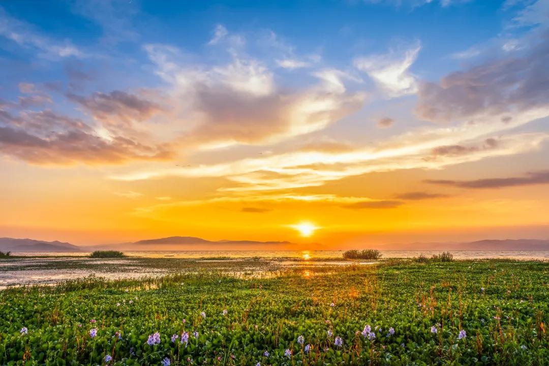 昆明去东川红土地最快的自驾线路,昆明一日游必去十大景点推荐自驾