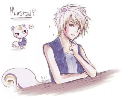 动物森友会怎么正常生活,动物森友会有哪些小动物会吵架