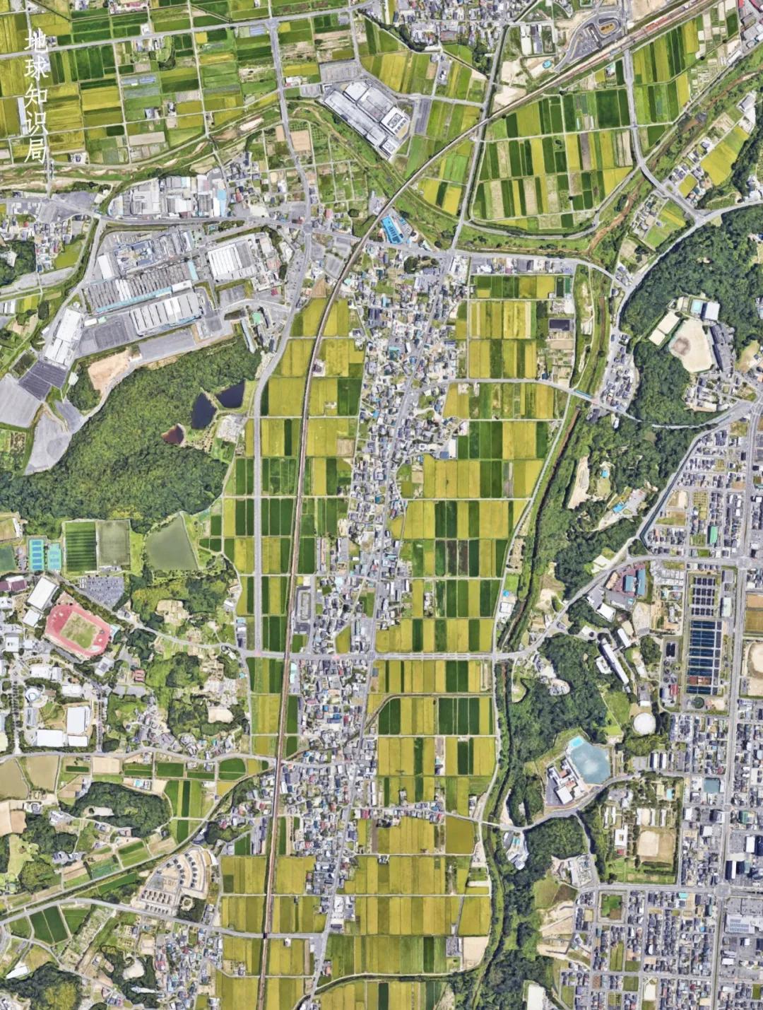 日本有过革命史吗,日本有过什么革命