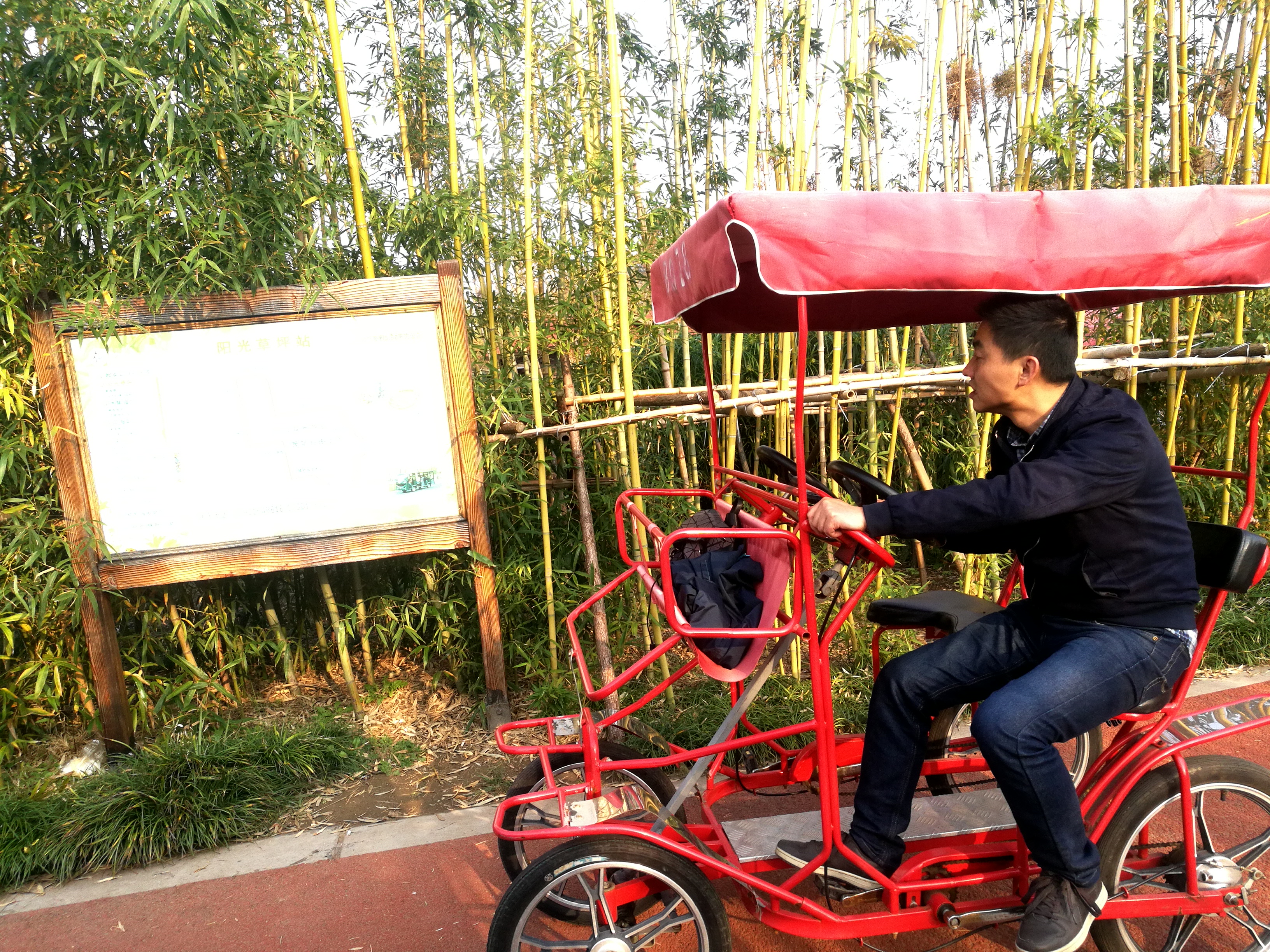 上海崇明岛郊野公园扩建工作,崇明长兴岛公园规划