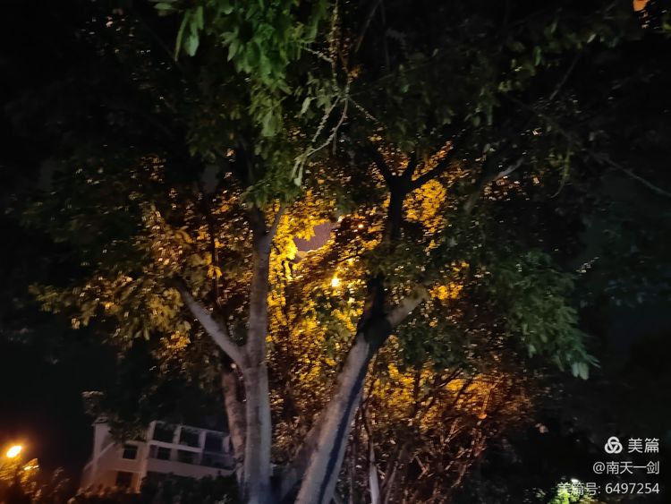 霜降粤语歌曲,霜降翻唱版