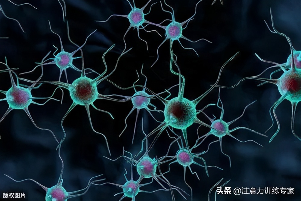 一考试就头脑空白？2个方法科学减少大脑刺激，孩子学习更高效