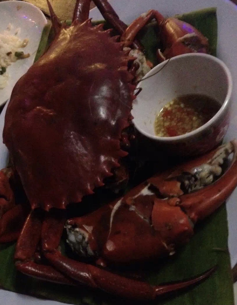 帕劳旅游十大攻略,帕劳上帝的水族箱