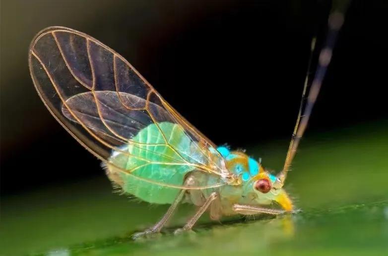 创业小白如何写好商业计划书,创业商业计划书ppt