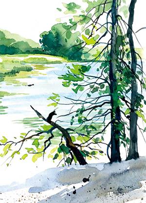 水彩绘画用的纸,水彩绘画用的画笔